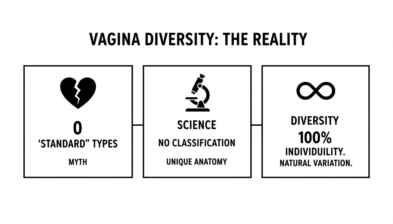 An infographic illustrating vagina diversity, debunking the myth of standard types and emphasizing natural variation.