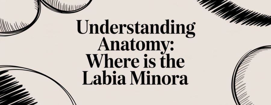 Understanding anatomy: where is the labia minora