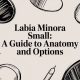 Labia Minora Small: A Guide to Anatomy and Options
