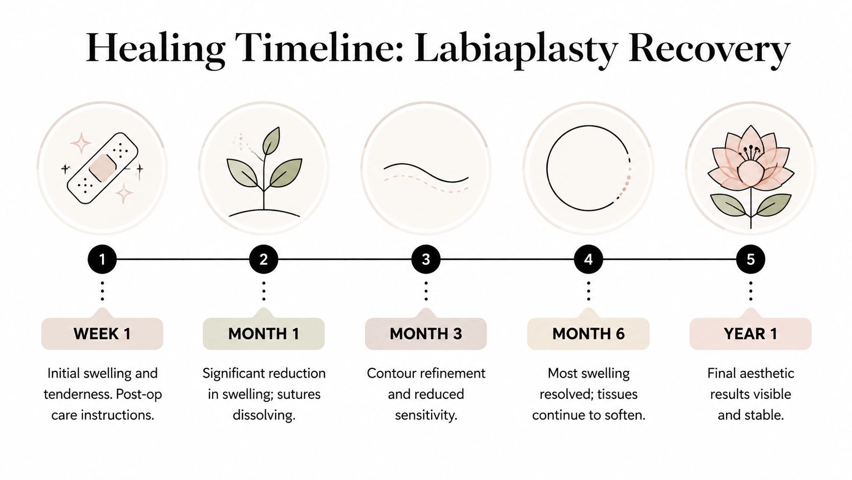 A visual timeline infographic displaying the stages of labiaplasty recovery from week one to year one.