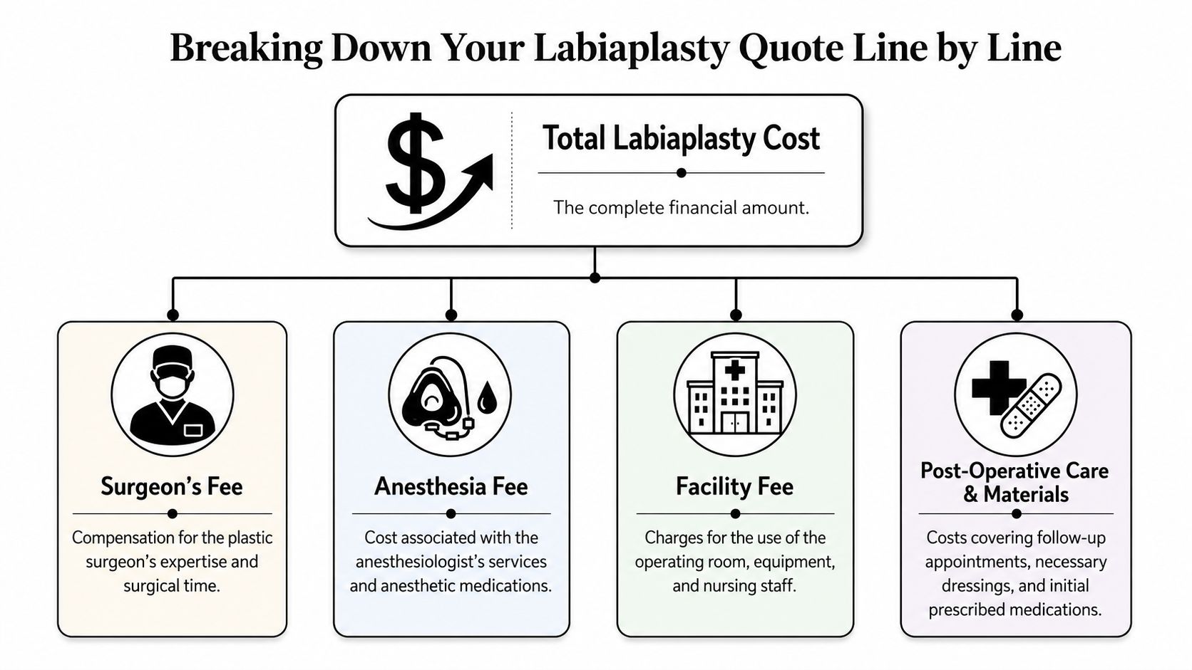 A diagram breaking down the total cost components of a labiaplasty surgery into four major categories.