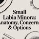 Small Labia Minora: Anatomy, Concerns, & Options