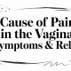 Cause of Pain in the Vagina: Symptoms & Relief