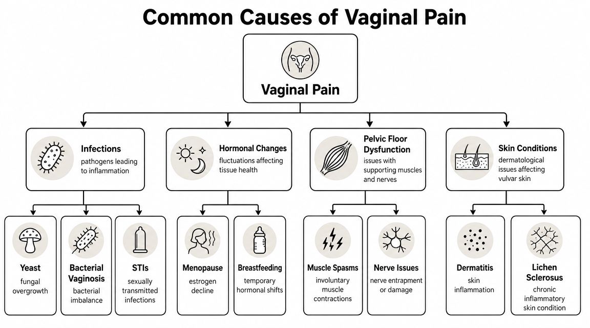 An infographic titled Common Causes of Vaginal Pain, categorizing causes into infections, hormonal changes, pelvic floor dysfunction, and skin conditions.