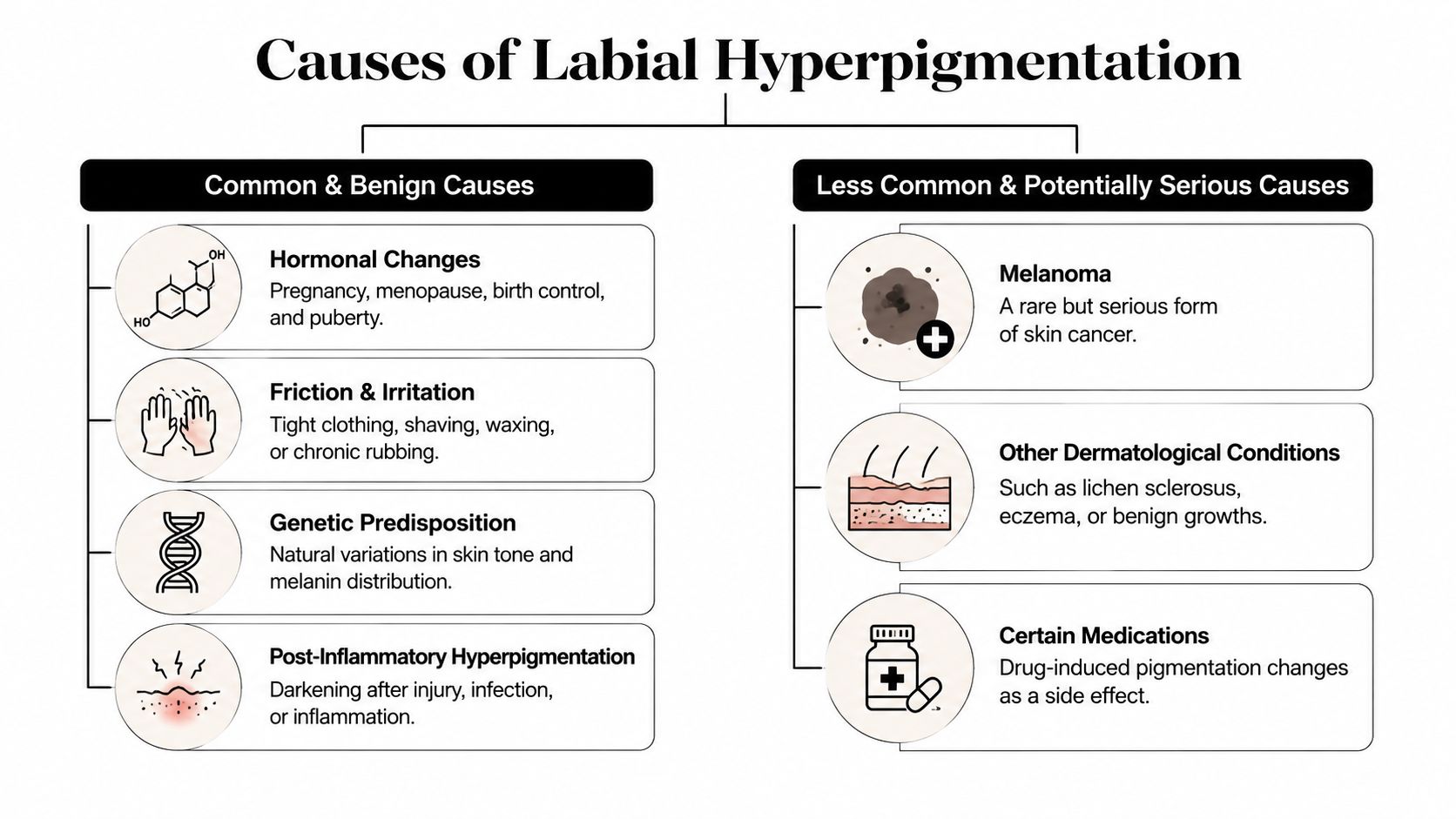 An infographic detailing various common and serious causes of labial hyperpigmentation, including hormonal changes and skin conditions.