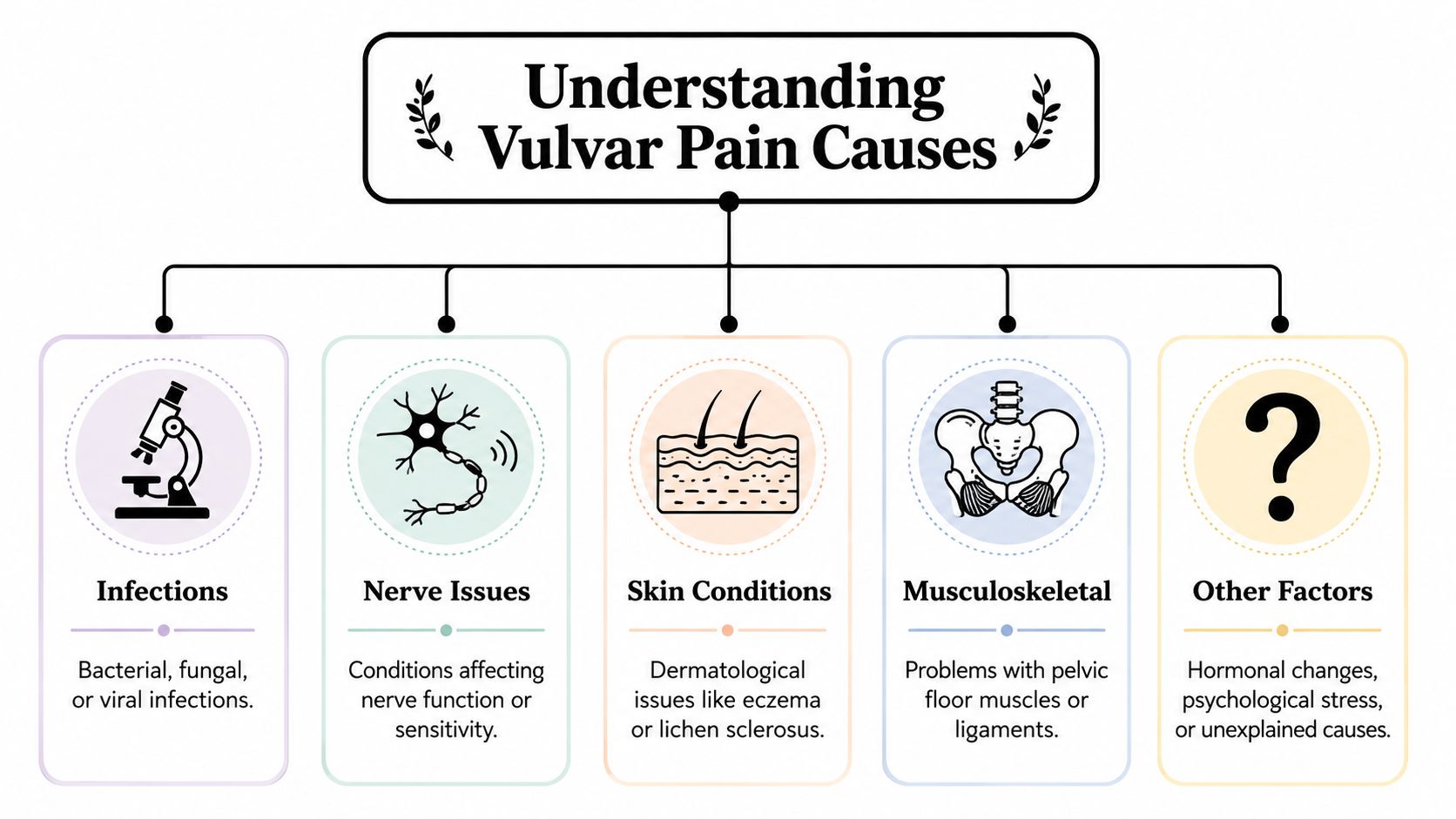 A diagram illustrating the various potential causes of vulvar pain, including infections, nerve, skin, and musculoskeletal issues.