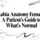 Labia Anatomy Female: A Patient’s Guide to What’s Normal