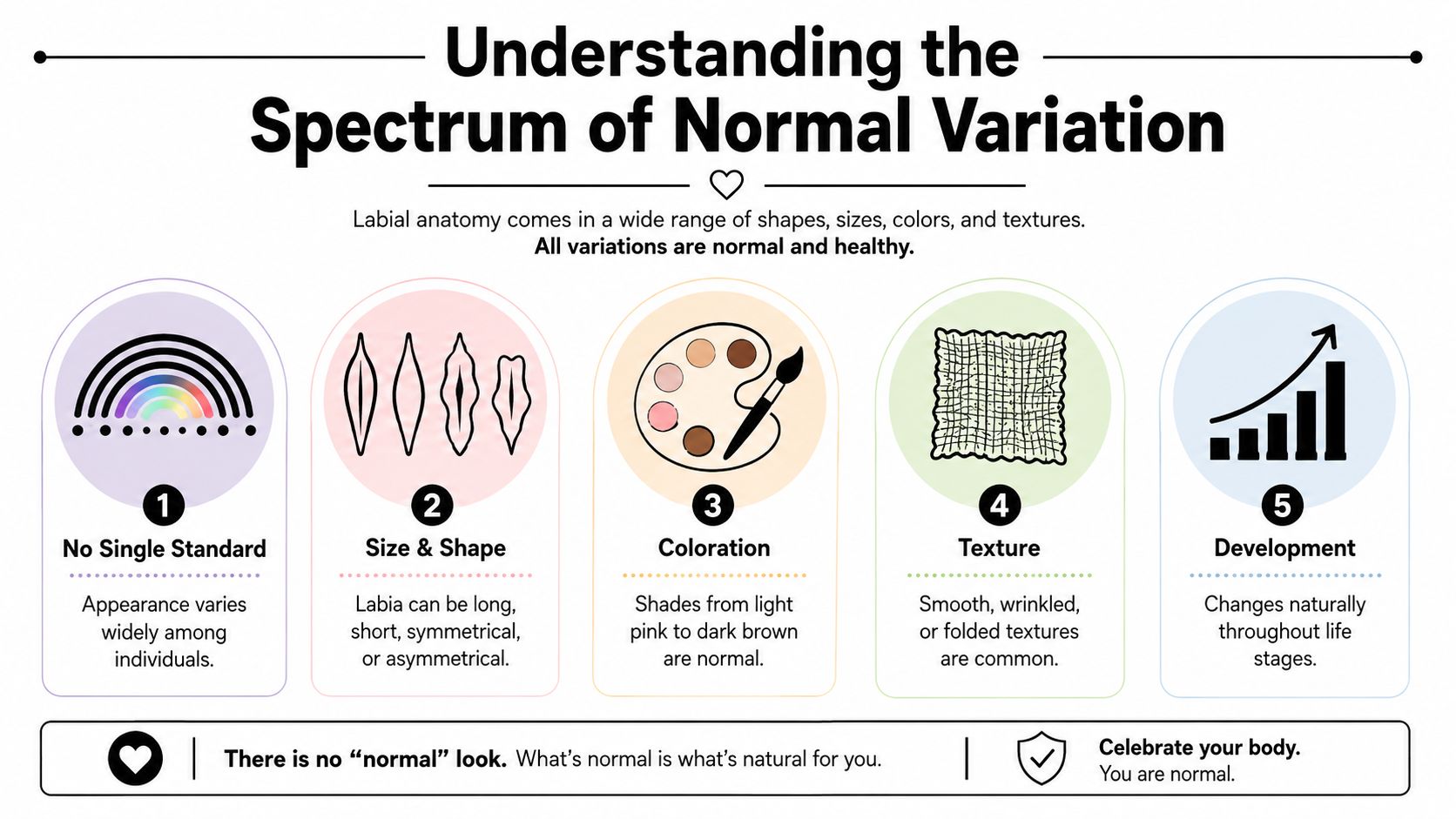 An educational infographic illustrating that labial anatomy naturally varies in size, shape, color, and texture.