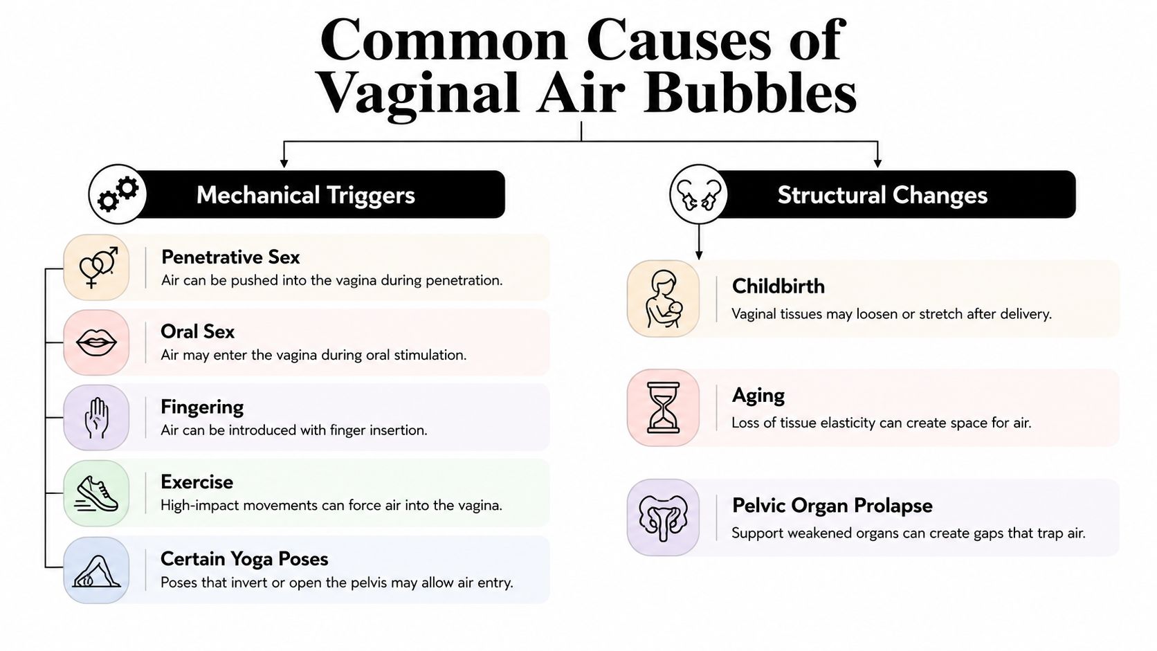 An infographic titled Common Causes of Vaginal Air Bubbles listing mechanical triggers and structural changes.