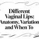 Different Vaginal Lips: Anatomy, Variation, and When To