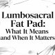 Lumbosacral Fat Pad: What It Means and When It Matters