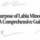 Purpose of Labia Minora: A Comprehensive Guide